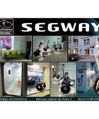 Segway GSI DISTRIBUTION