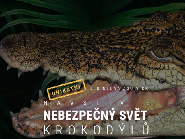 Krokodýlí ZOO Protivín